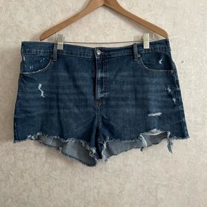 Aerie Dark Blue Jean Shorts